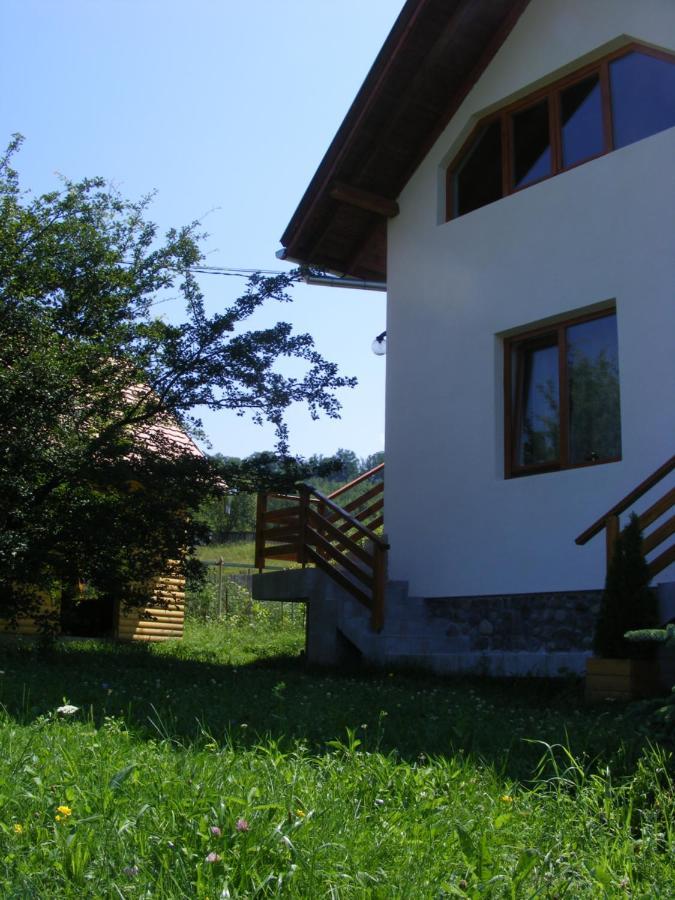 Casa Lacul Mierlei 호텔 소바타 외부 사진